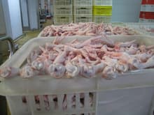 Frozen Chicken Feet